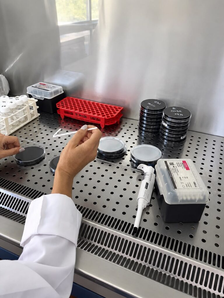 Técnico de laboratorio realizando control de calidad y seguridad alimentaria